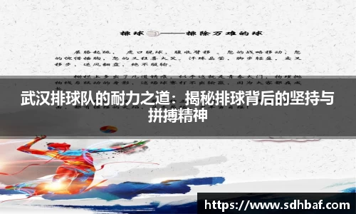 武汉排球队的耐力之道：揭秘排球背后的坚持与拼搏精神