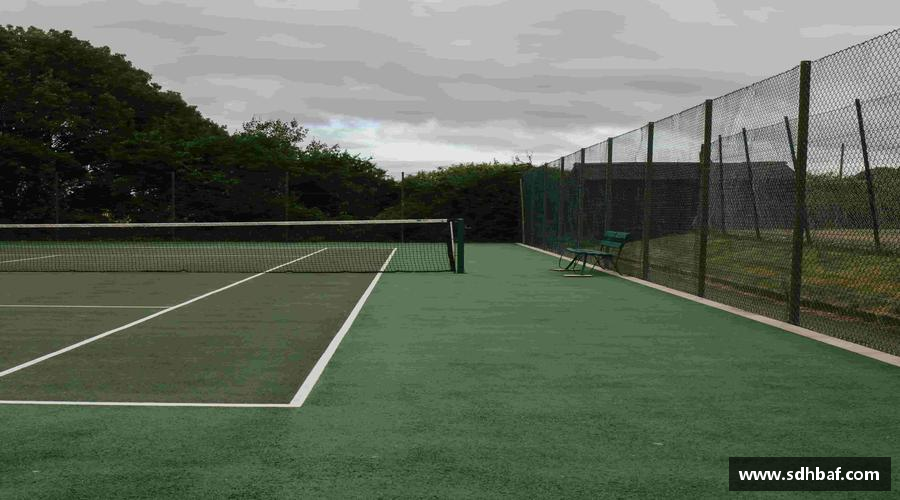 谈球吧体育见证冠军诞生的瞬间！